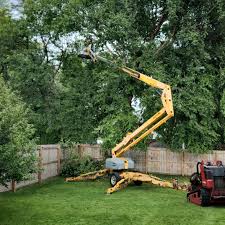 Best Landscape Design and Installation  in Lake Ssota, WI