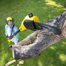 Best Firewood Processing and Delivery  in Lake Ssota, WI