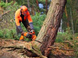 Best Soil Testing and Treatment  in Lake Ssota, WI