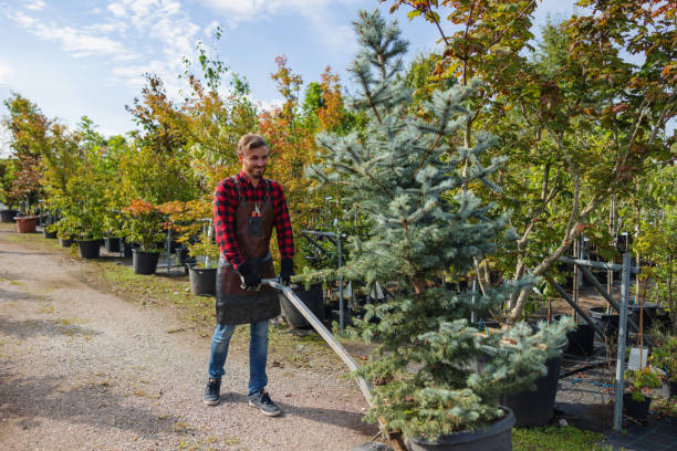 Seasonal Cleanup (Spring/Fall) in Lake Wissota, WI