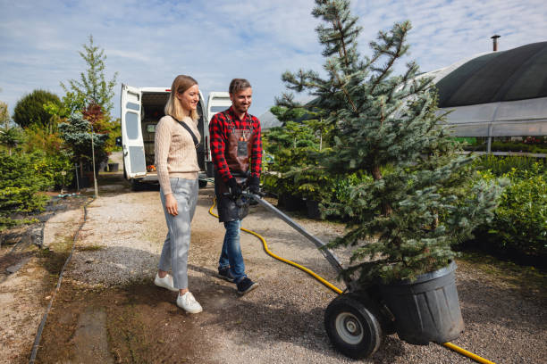 Best Aeration Services  in Lake Ssota, WI
